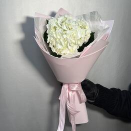 Liana Flowers