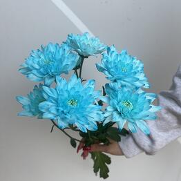 Diflowers