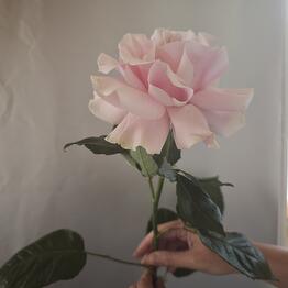 Flower4you