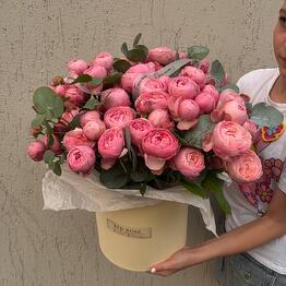 Red Roses 