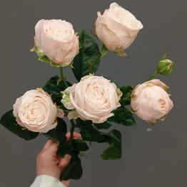 Rose Room - Utyosov