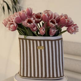 Tulpan flowers
