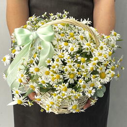 Yani Bouquet