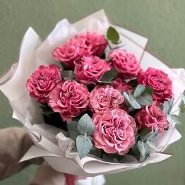 Romashka flowers
