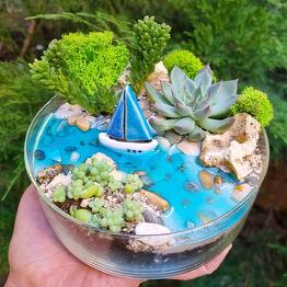Florarium con suculentas"Río"