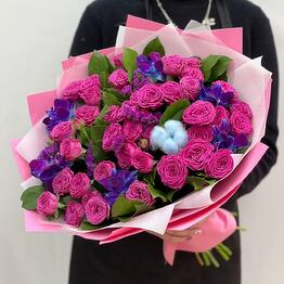 Bush Rose-9