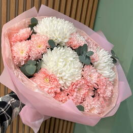 Marolli flowers