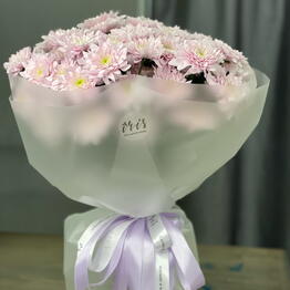 Irisfloraby