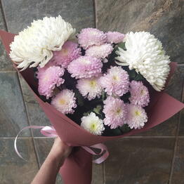Iris Blumen