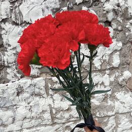 Clavel