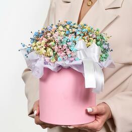 FloraDiscont
