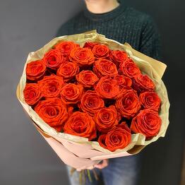 Mir Roz