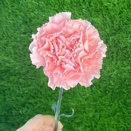 Salon of fashionable GaLa flowers