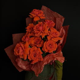 Dom Cvetov Repino