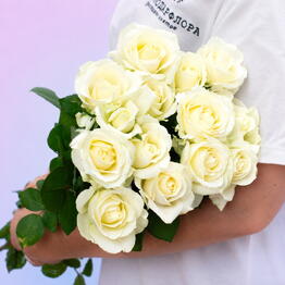 Krasnodarflora Opt