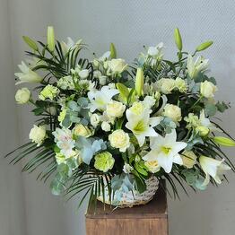 Flower_feya