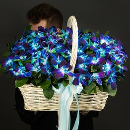 GENY PONAL’ цветы / подарки