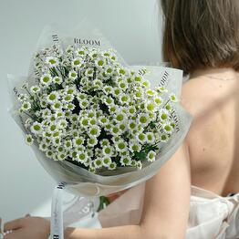 BLOOM