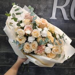 Elite Rose
