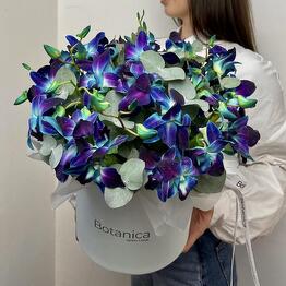 Botanica with love