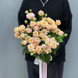 D&O ROSES