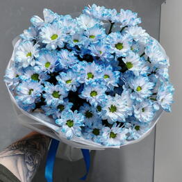 Mariflora