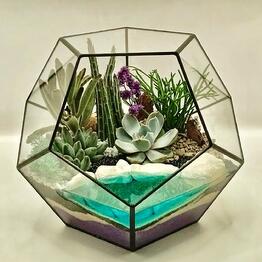 Florariumy Magic in glass ✨