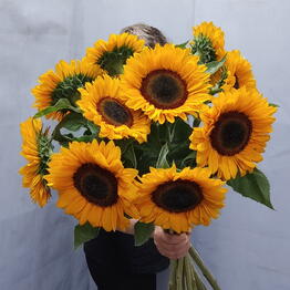 Beautiful Flowers na Mozhayskom shosse