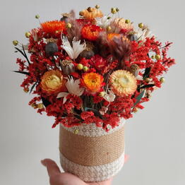 NEW_FLORISTICS