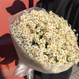 VIP FLOWERS CLUB