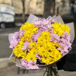 Амелия