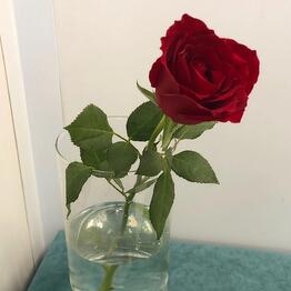 FlowerSecret 