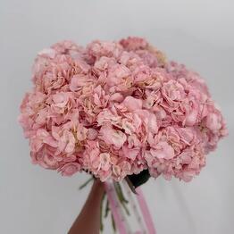 Bloom flowers