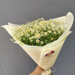 Duty Free Flowers на Московской