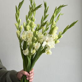 FLOWERSJOY 
