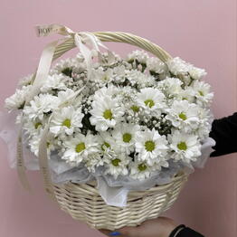 Pion