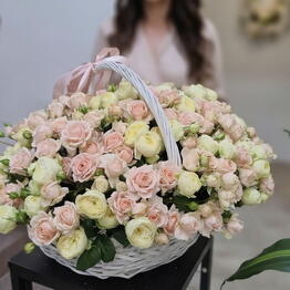 Belladonna