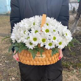 Про100ЦВЕТЫ