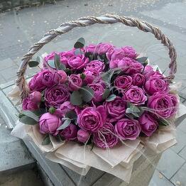 Bloom.by.bar