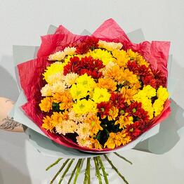Sharik__LUX