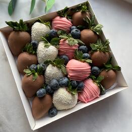 Anastasie chocolate 