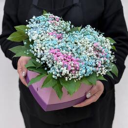 Цветы в коробке гипсофила