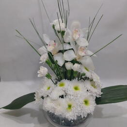 Fiori Silvestri