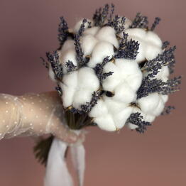 Lavanda