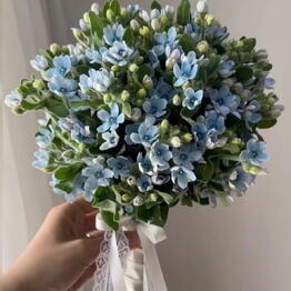 Si Dahe Flowers