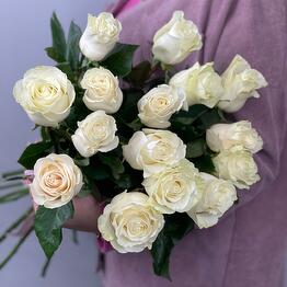 15 gorgeous white roses