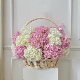 Best Flowers