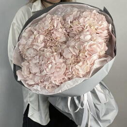 Flora deluxe