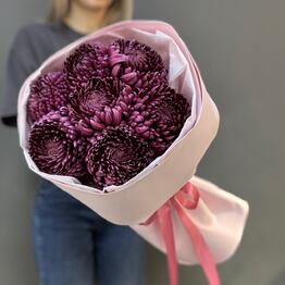 SarFlora на Танкистов