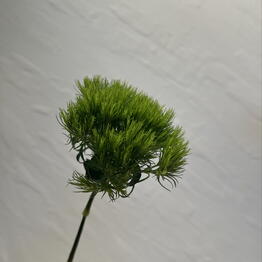 Art Flowers